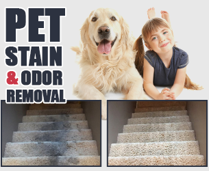 Carpet Stain Removal