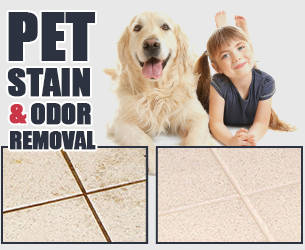 Tile Grout Cleaning The Woodlands TX