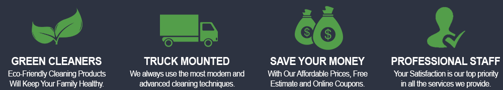 Professional Cleaners in Texas