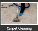 pet-stain-removal